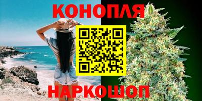 хмурый Новозыбков