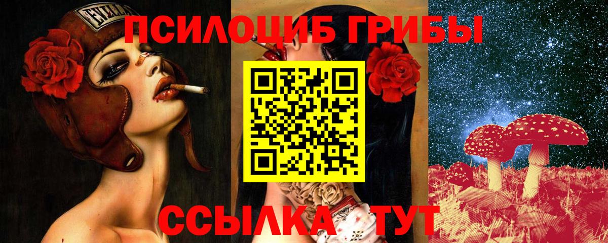Шелехов  Галлюциногенные грибы GOLDEN TEACHER  Вход с VPN 